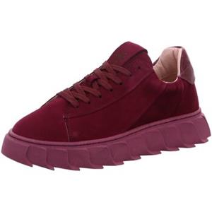 Apple of Eden Sneakers  -