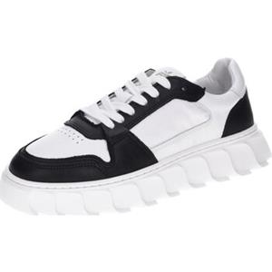 Apple of Eden Sneakers  -