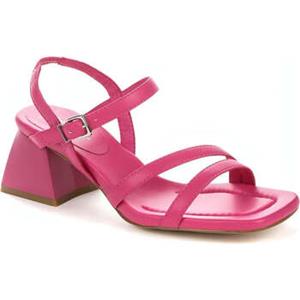 Betsy Sandalen  -