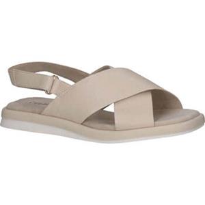 Caprice Sandalen  -