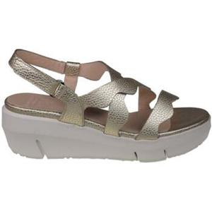 Wonders Sandalen  Max