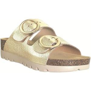 Plakton Slippers  Memory