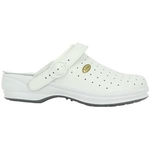 Scholl Slippers  NEW BONUS
