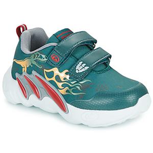 BEPPI Lage Sneakers  2201941-OLI-BLUE