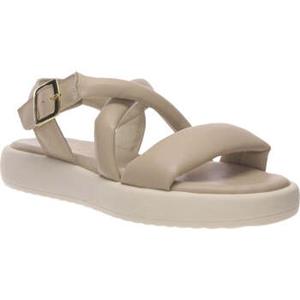 Salamander Sandalen  -