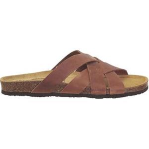 Plakton Slippers  Bad