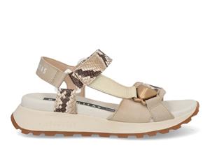 Hispanitas Maui 253896 taupe multi bruin 