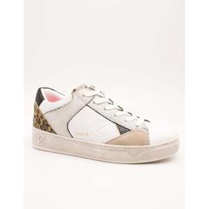 Café Noir Sneakers  -