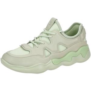 ECCO Sneakers  -