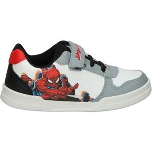 Leomil Sneakers  SP012120