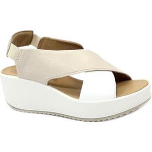 IGI&Co Sandalen IgI&CO IGI-E24-5668811-PA