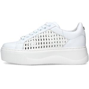 Cult Sneakers  -