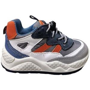 Balocchi Sneakers  SPORT