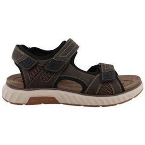 Westland Sneakers  74R0071002