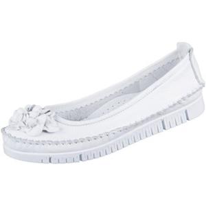 Gemini Ballerina's  -