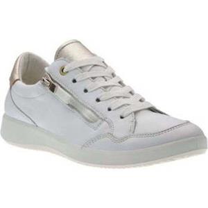 Ara Mocassins  -