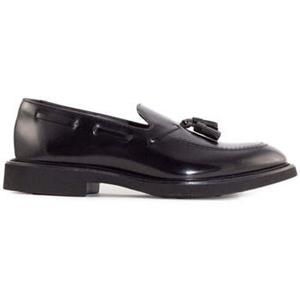 Doucal's Mocassins  -