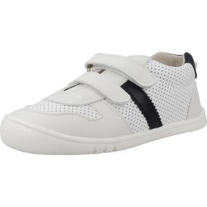 Piruflex Sneakers  PF351 5