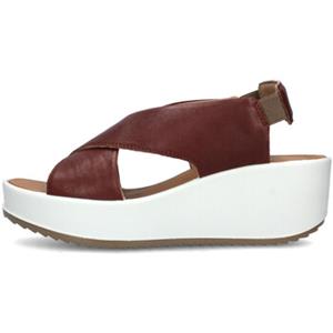 IGI&Co Sandalen IgI&CO 5668833