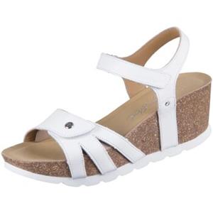 Panama Jack Sandalen  -