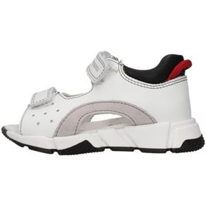Primigi Lage Sneakers  1915011