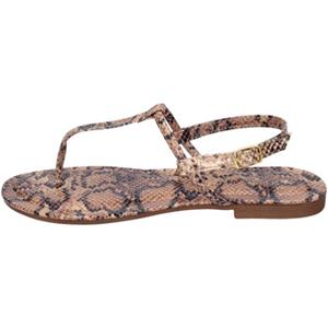 Pregunta Sandalen  EX66