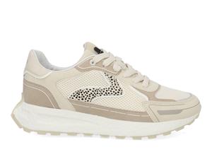 Maruti June off white Beige 