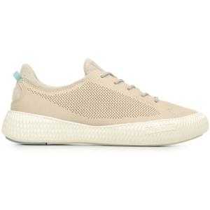 Palladium Sneakers  Pallanova Lth