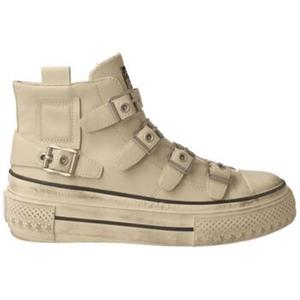 Ash Lage Sneakers  -