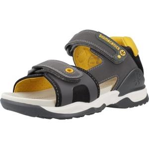 Biomecanics Sandalen  242282B