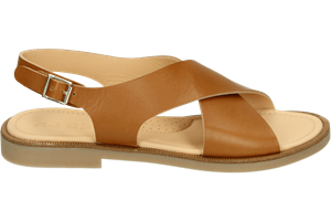 Ocra D446
