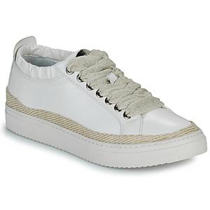Adige Lage Sneakers  QUINCY