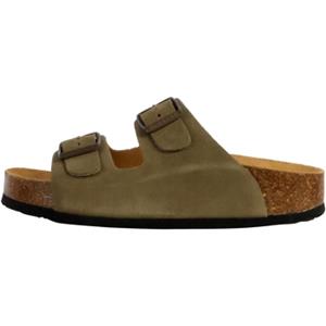 Plakton Slippers  250320