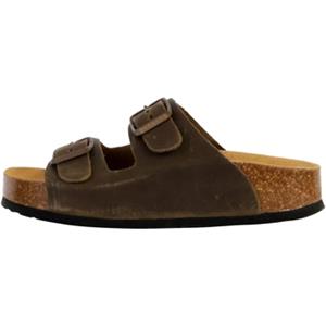 Plakton Slippers  250332