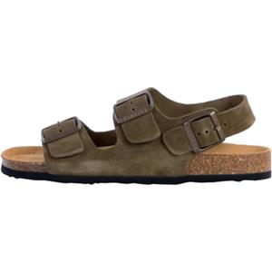 Plakton Slippers  250971