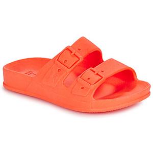 Cacatoès Slippers  BAHIA BABIES