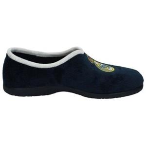 Andinas Pantoffels  -