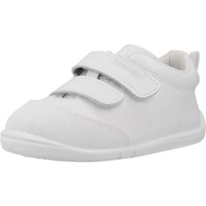Titanitos Sneakers  B500 ORSO