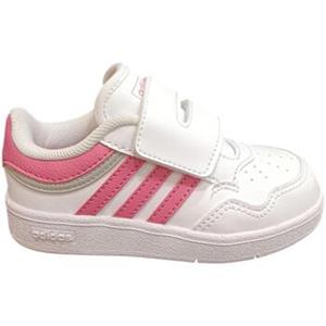 Adidas Sneakers  hoops