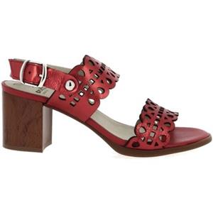 Dorking Sandalen  8173
