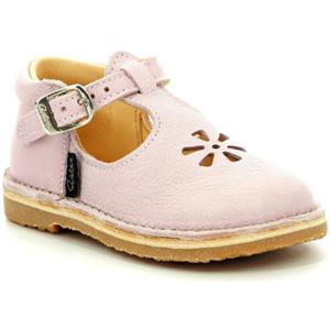 Aster Ballerina's  Bimbo-2