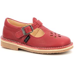 Aster Ballerina's  Dingo-2