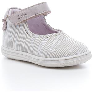Aster Ballerina's  Kasine