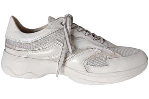 DL Sport 6540 sneaker