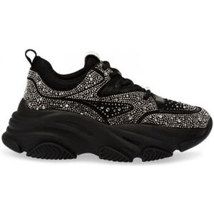 Steve Madden Sneakers  Privy sneaker