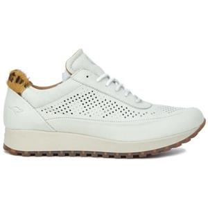 Kangaroos Hoge Sneakers  37839