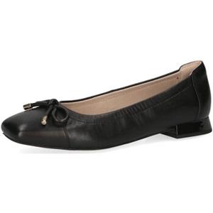 Caprice Ballerina's  -