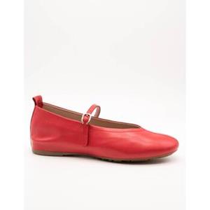 Wonders Ballerina's  -