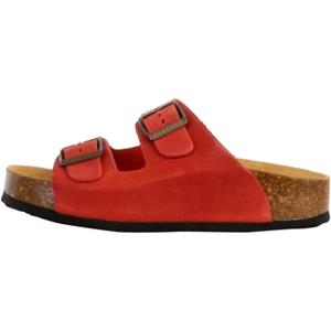 Plakton Slippers  250376