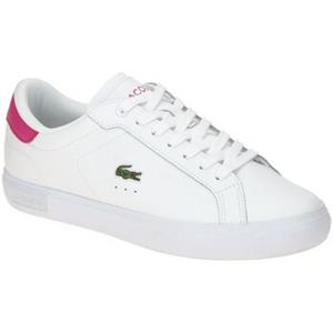 Lacoste Sneakers  -